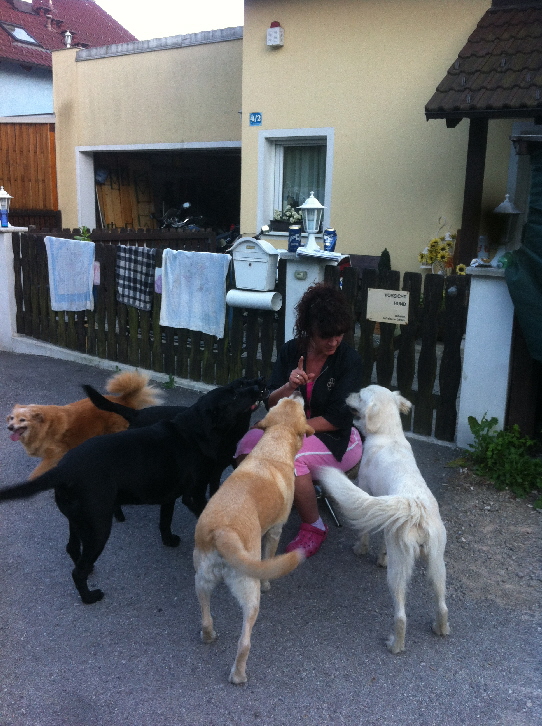 20130709_181343356_iOS