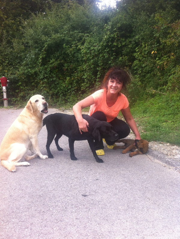 20130904_094428058_iOS