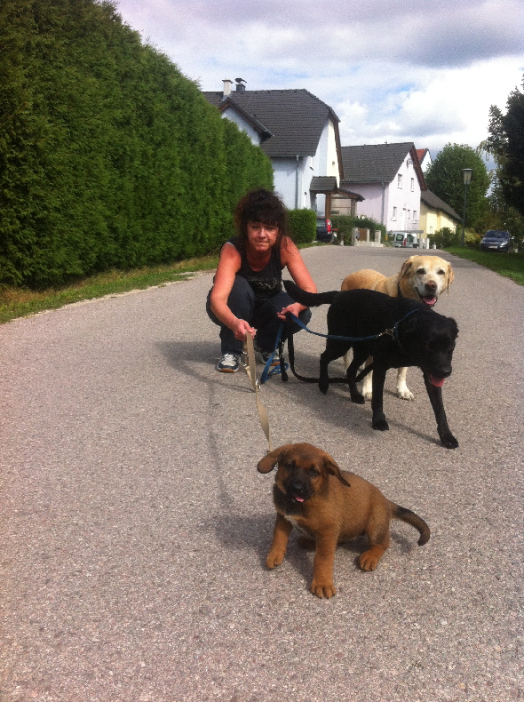 20130904_130311684_iOS