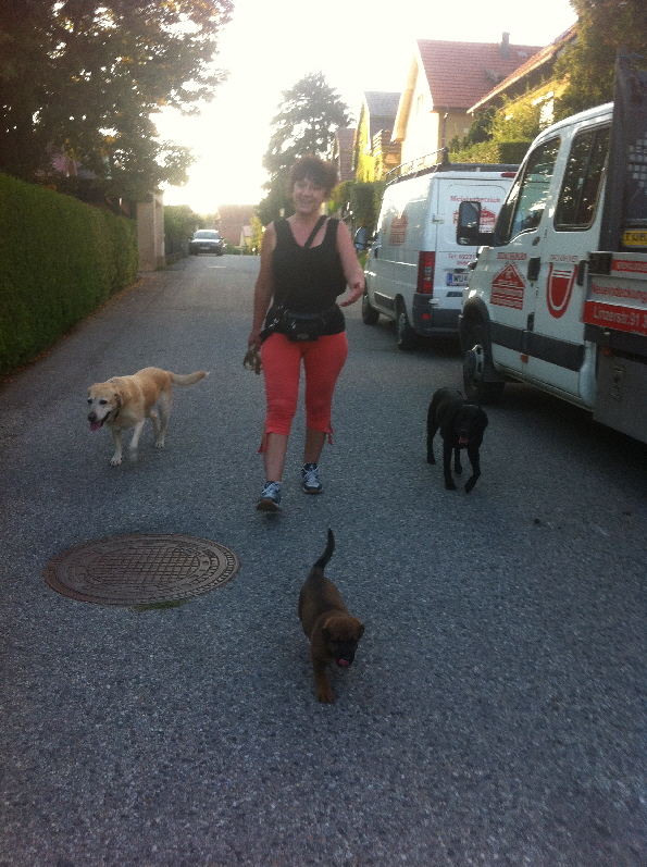 20130905_163020703_iOS