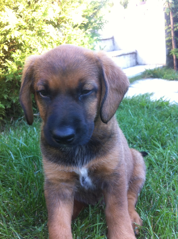 20130907_155626515_iOS