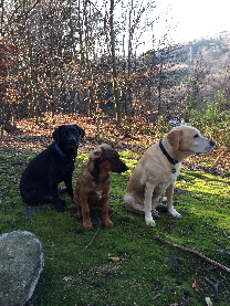 20131201_130719000_iOS