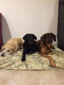 20141022_173843050_iOS