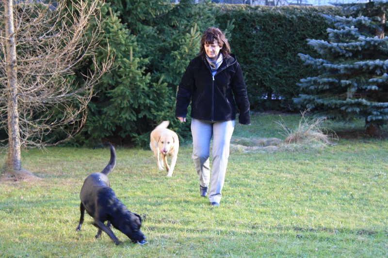 Groomer beim Spazieren zum Hundesalon