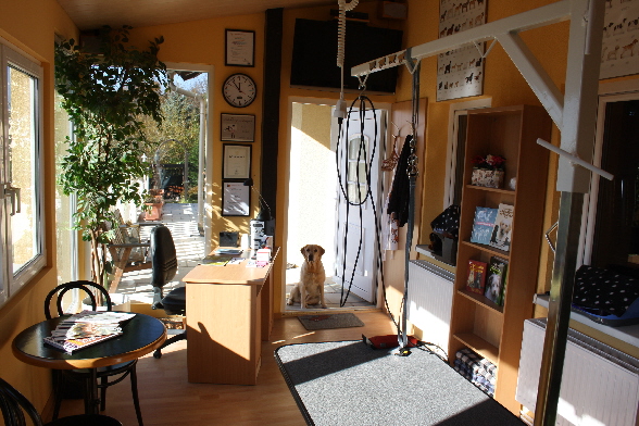 mein Hundesalon 2