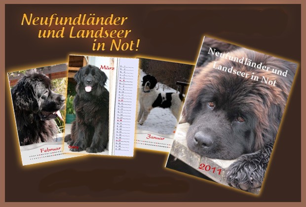 neufundl�nder in not